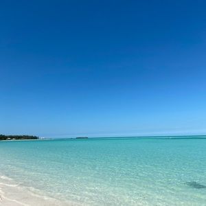 Meet your Posher, Ella